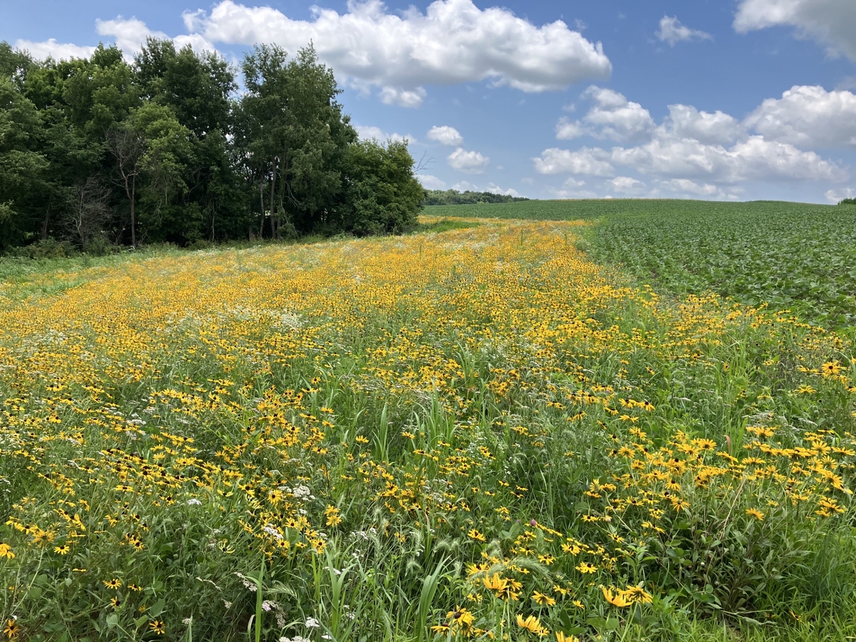 Outdoors on the Farm