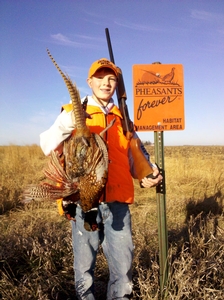 Boy with Roosters