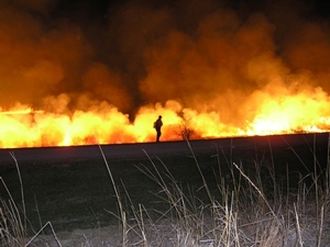 night burn
